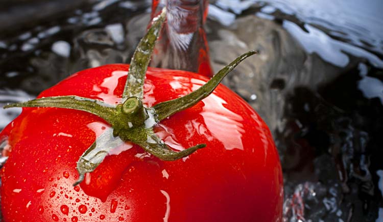 A Cuidar los alimentos