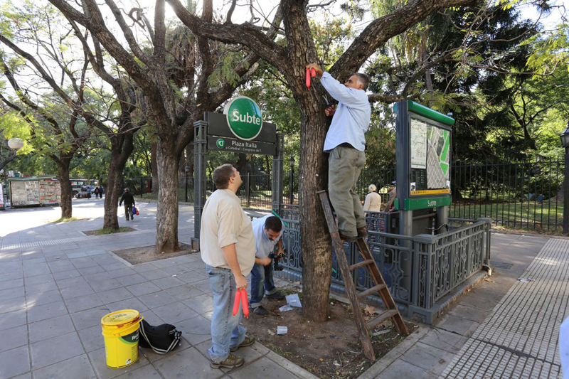 Caminando Buenos Aires