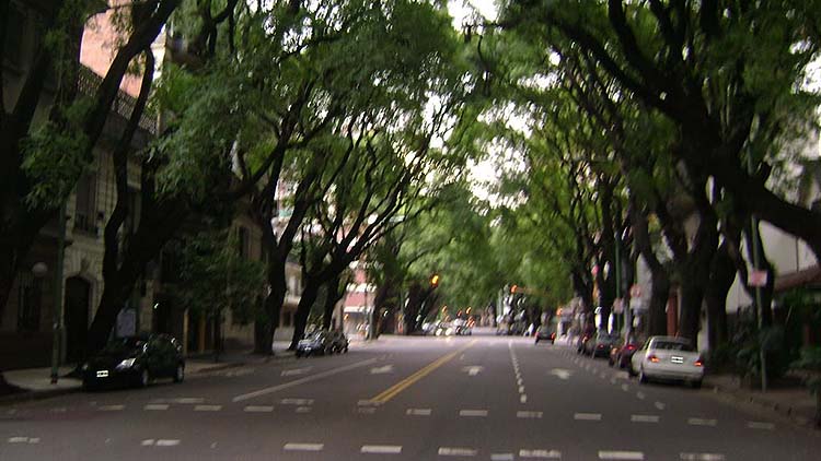 Pedro Goyena, una de las avenidas más prestigiosas de la Ciudad