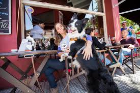 Las mascotas son las nuevas mimadas en los bares de Boedo