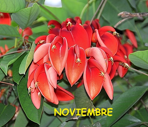 EFEMÉRIDES  DEL  MES DE NOVIEMBRE