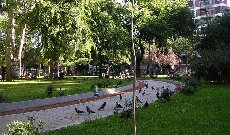 Almagro en la lucha fracasada por conseguir una plaza más