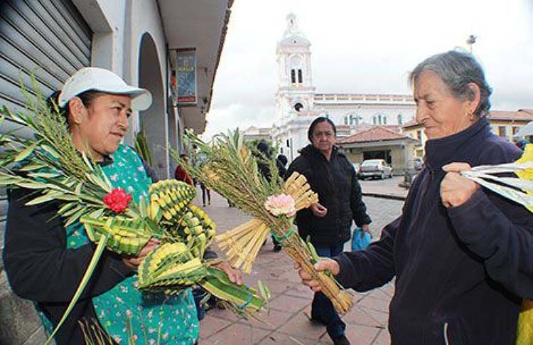 Semana Santa y el ramo bendecido : ¿Qué hacemos ahora?