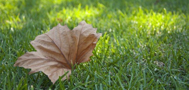 Abril: el mes más cálido del otoño de los últimos 60 años