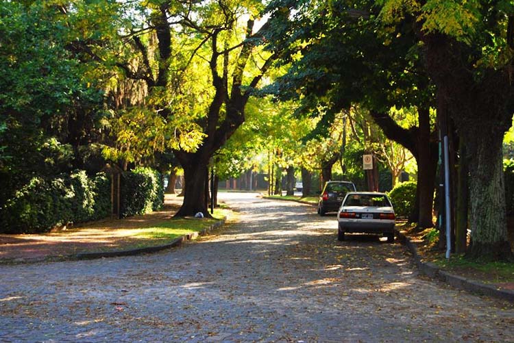 Barrio Parque  : el rincón porteño de los famosos