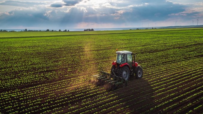 Banco Ciudad presente en Expoagro 2019