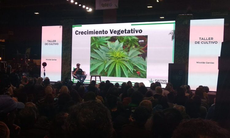 La Rural: Expo Cannabis y el uso medicinal del aceite