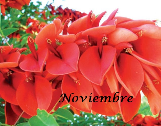 EFEMÉRIDES DEL MES DE NOVIEMBRE