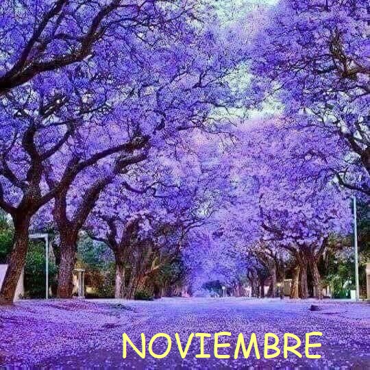 EFEMÉRIDES DEL MES DE NOVIEMBRE