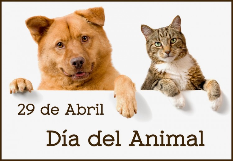 Día del Animal en el Museo-Casa Yrurtia del barrio de Belgrano