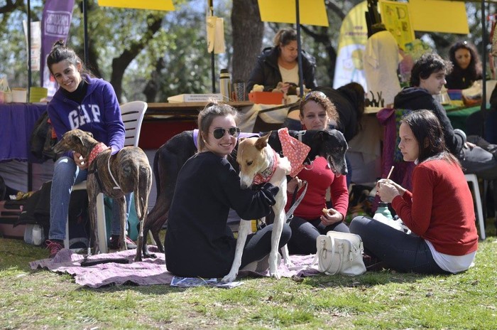 Palermo: encuentro sobre cuidado responsable de mascotas en la Plaza Pueyrredón