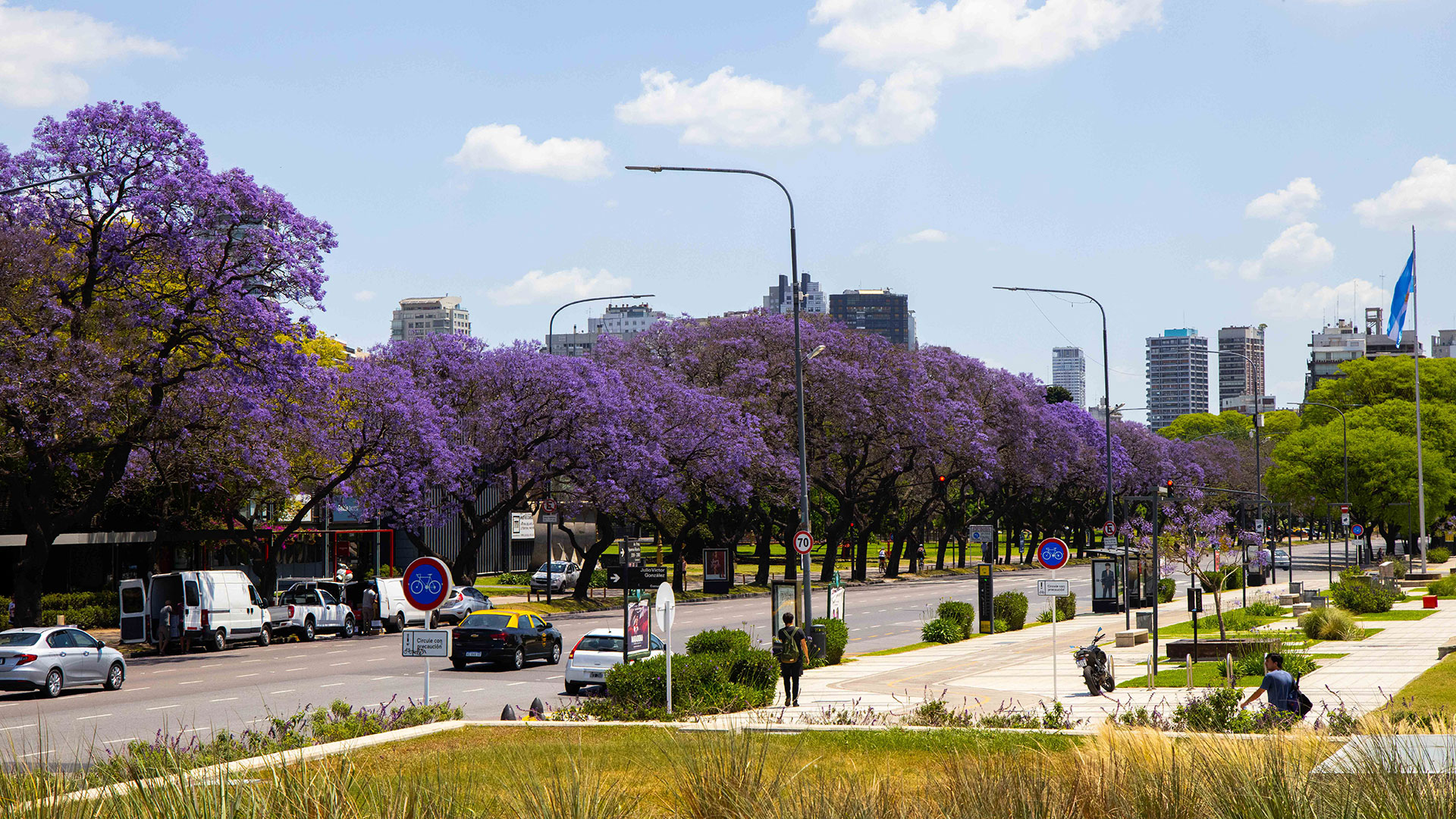 La Ciudad presentó un ambicioso plan de plantación de 22.000 árboles en el espacio público