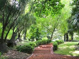 125 años de esplendor natural del Jardín Botánico de la Ciudad
