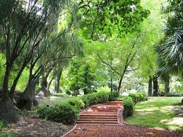 125 años de esplendor natural del Jardín Botánico de la Ciudad 